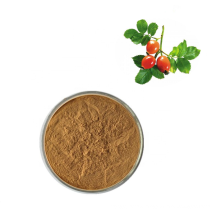 Rosehip Extract/Rose Hip Extract Powder 5%~10% VC